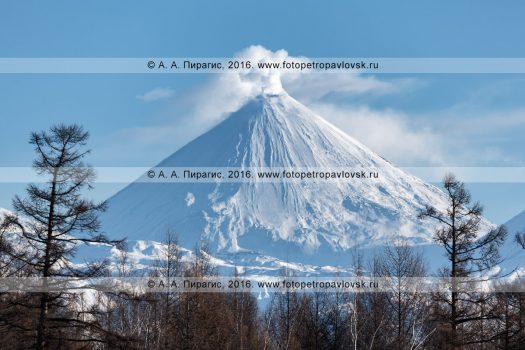 Фотография: зимний пейзаж полуострова Камчатка — активный вулкан Ключевская сопка. Природный парк "Ключевской", природный парк "Вулканы Камчатки"