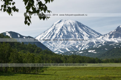 Фотография вулкана Корякского на полуострове Камчатка