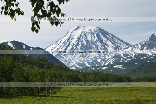 Фотография вулкана Корякского на полуострове Камчатка