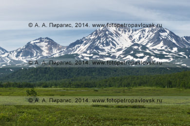 Фотография (панорама): вулкан Корякский, вулкан Арик и вулкан Ааг на Камчатке