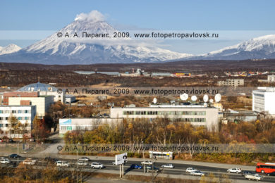 Фотография Камчатской краевой научной библиотеки имени Степана Петровича Крашенинникова