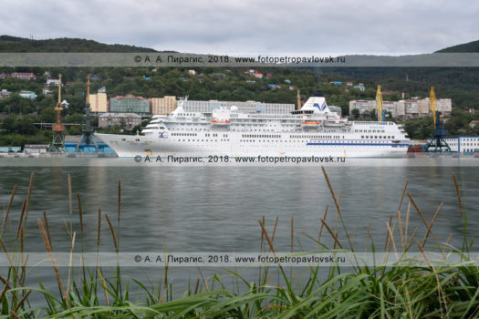 Круизный лайнер Pacific Venus в Петропавловск-Камчатском морском торговом порту