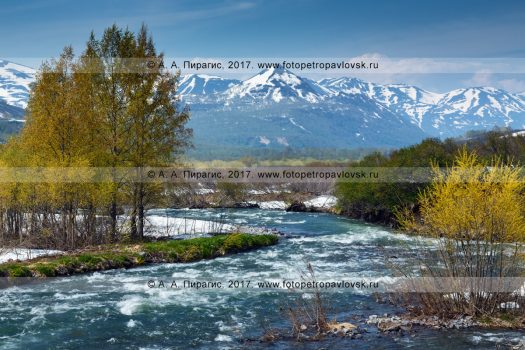 Фотография: горная река Паратунка на полуострове Камчатка. Камчатский край, Елизовский район
