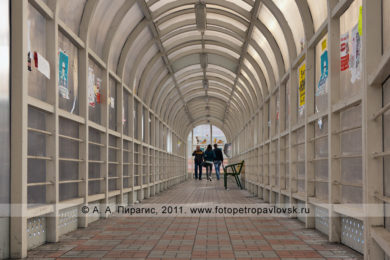 Фотографии Петропавловска-Камчатского, вид с надземного пешеходного перехода на Комсомольской площади