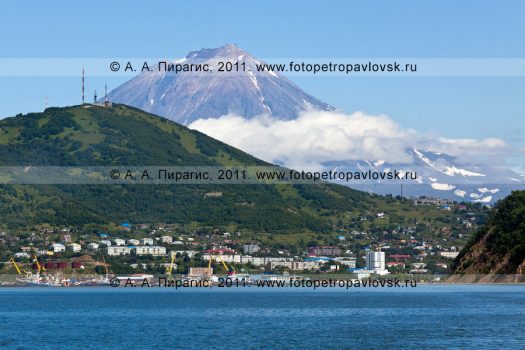 Фотография: город Петропавловск-Камчатский, Авачинская губа (Авачинская бухта), Мишенная сопка, Корякский вулкан