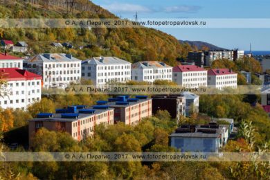 Фотография: Камчатский край, город Петропавловск-Камчатский, улица Океанская