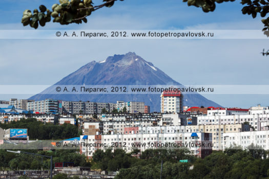 Летние фотографии города Петропавловска-Камчатского