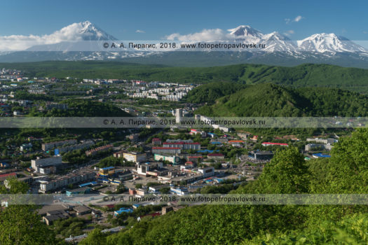 Летний Петропавловск-Камчатский на фоне вулканов