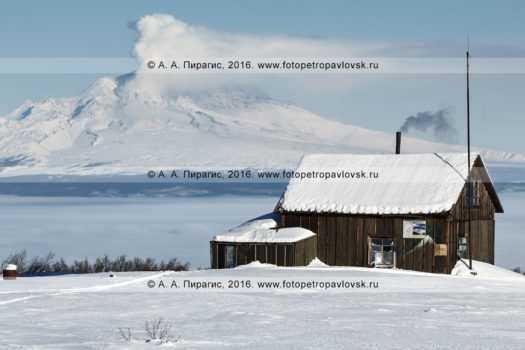 Фотографии домика вулканологов на фоне действующего вулкана Шивелуч на полуострове Камчатка