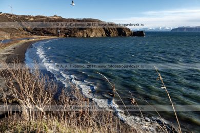 Фотография: морской пейзаж Камчатки — живописный вечерний вид на бухту Шлюпочную и мыс Маячный в Авачинской губе (Авачинская бухта) на полуострове Камчатка