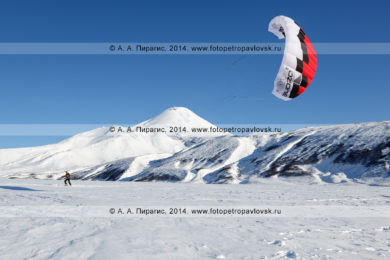 Сноукайтинг (зимний кайтинг, snowkiting) на Камчатке, катание на фоне Авачинского вулкана