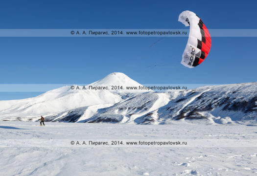 Сноукайтинг (зимний кайтинг, snowkiting) на Камчатке, катание на фоне Авачинского вулкана