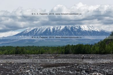 Фотография летнего вида на вулкан Острый Толбачик на полуострове Камчатка