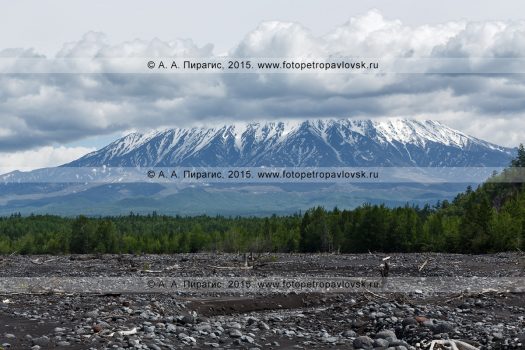 Фотография летнего вида на вулкан Острый Толбачик на полуострове Камчатка