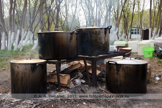 Фотографии приготовления камчатской ухи на День первой рыбы