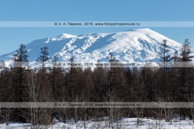 Фотография: камчатский зимний пейзаж — вулкан Ушковский. Ключевская группа вулканов, полуостров Камчатка