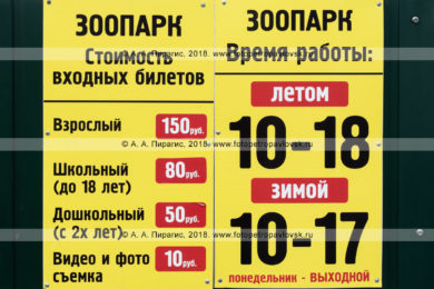 Елизовский зоопарк: стоимость входных билетов, время работы